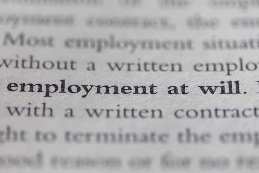 Close-up of text highlighting the term "employment at will" in a document, referencing the concept of at-will employment.